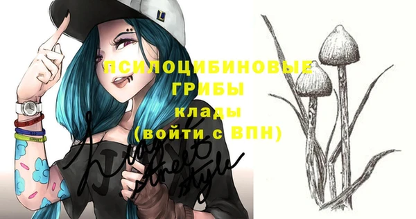 соль ск Кинешма