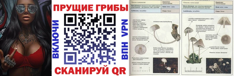 как найти закладки  Лакинск  Галлюциногенные грибы ЛСД 